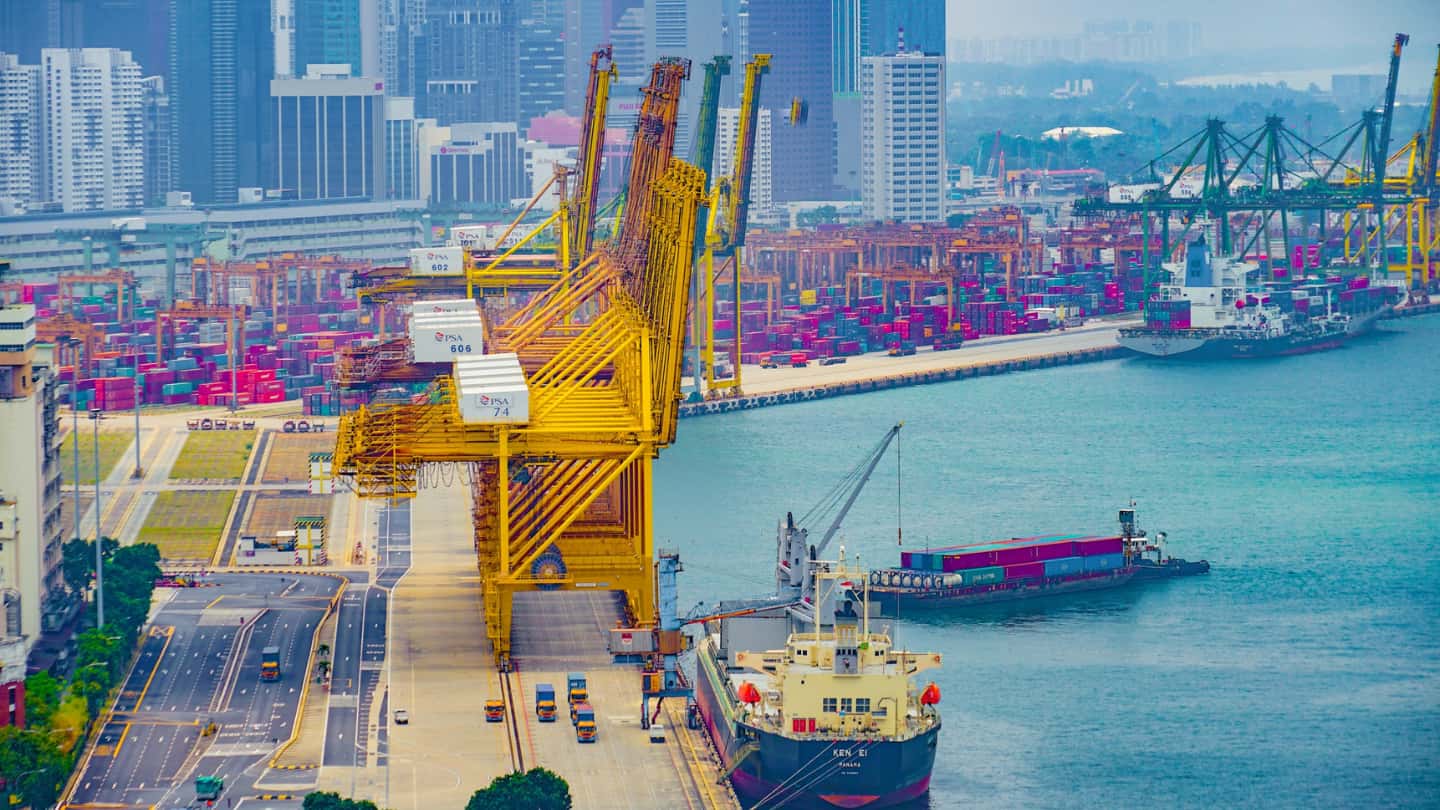 SHIPPING SECTOR