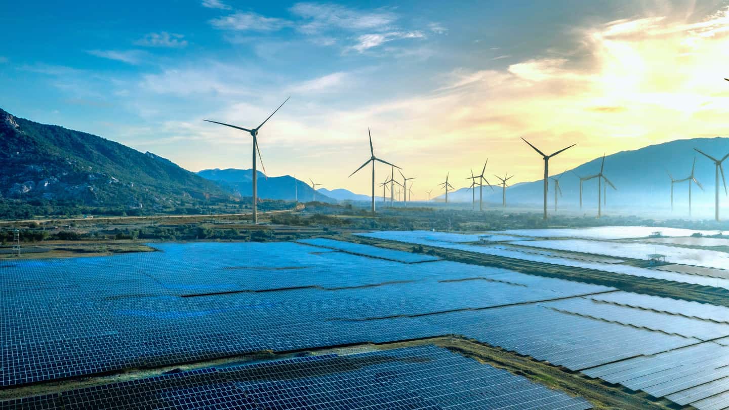 ENERGY & RENEWABLES